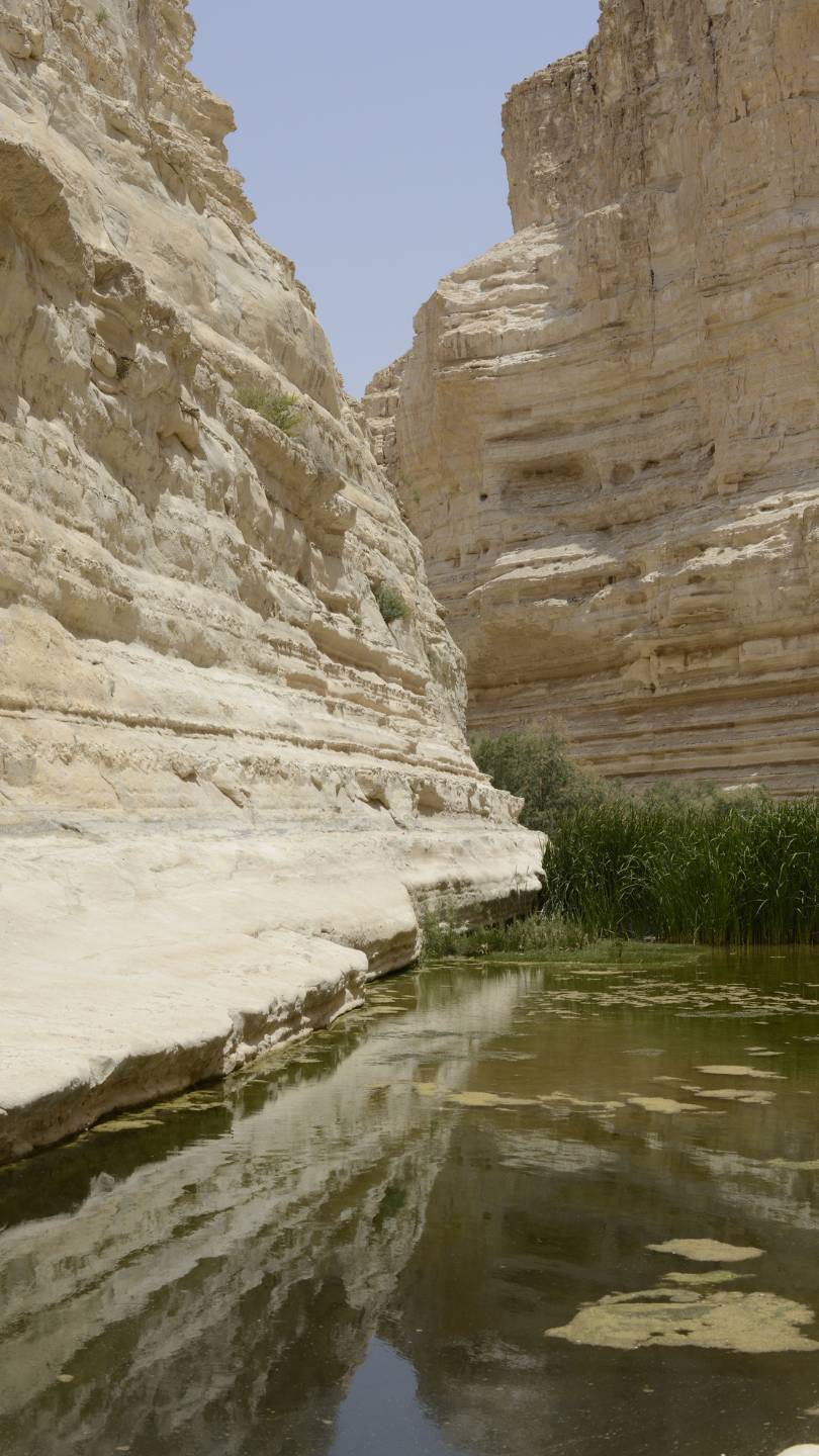 Ein Avdat canyon