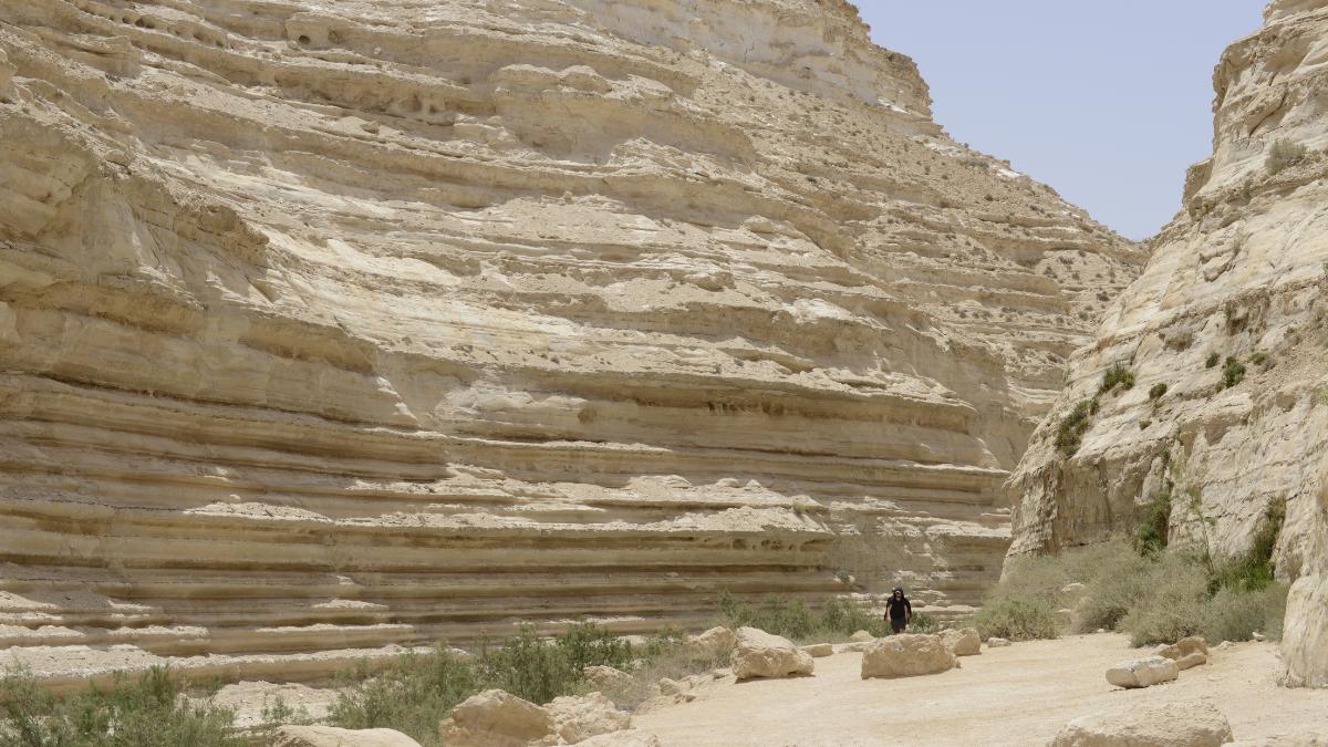 Ein Avdat canyon