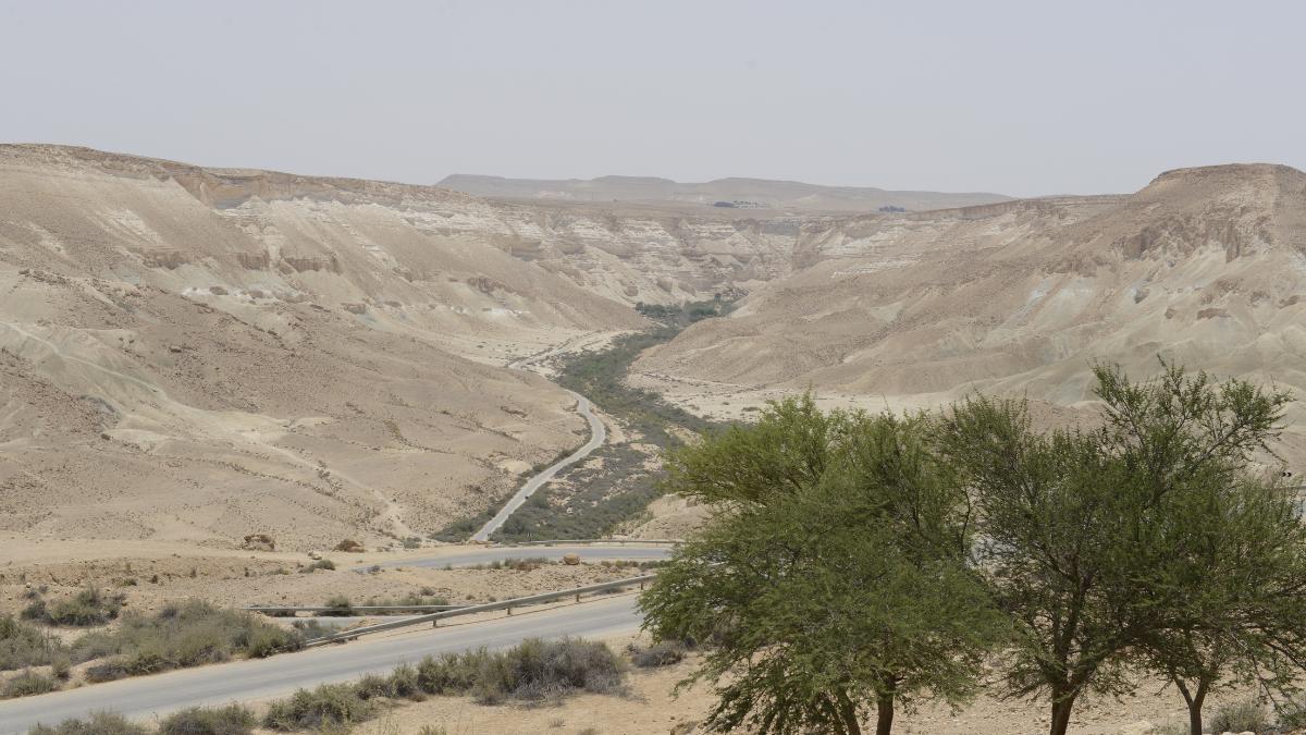 Ein Avdat general view