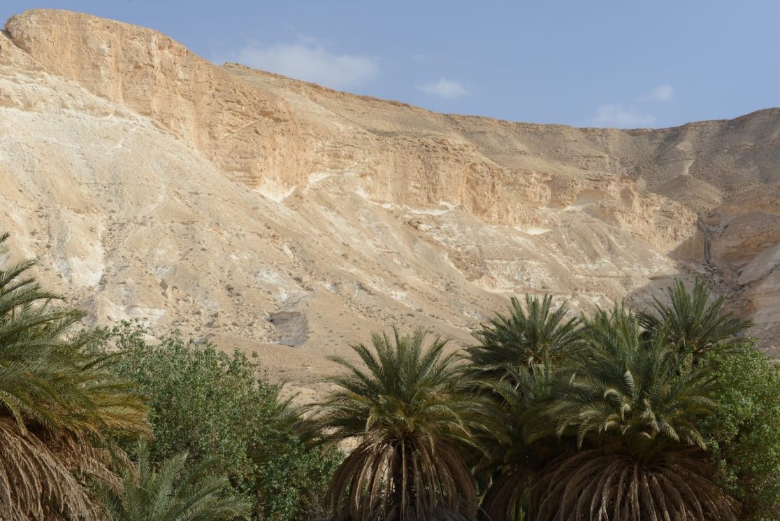Ein Zin oasis in Israeli Negev desert