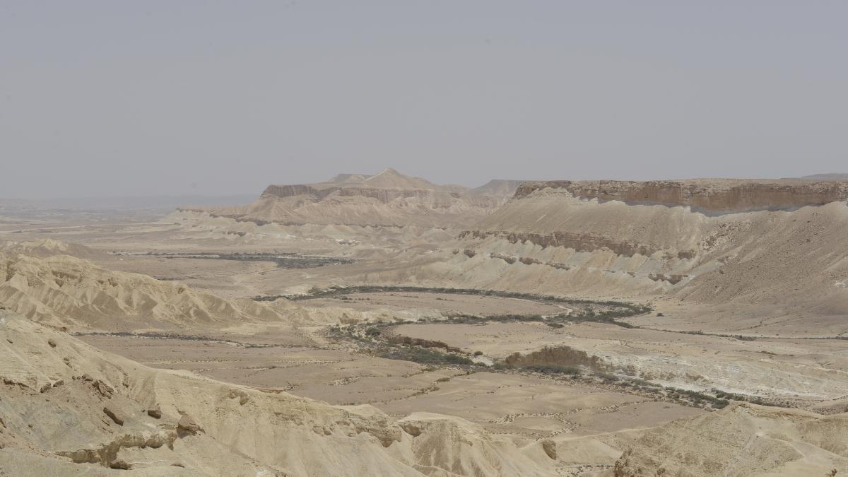 Zin valley a general view