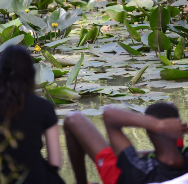 lilies ponds timeout rest