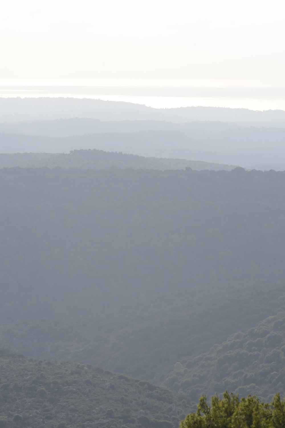 A look to the west