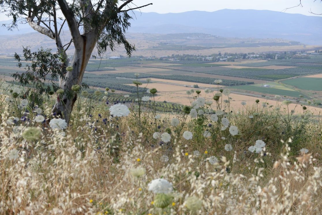 A view to South west from Arbel mountain