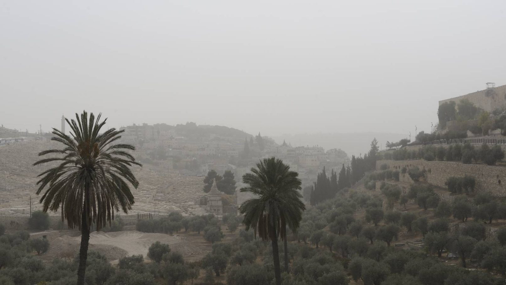A view to the Olive Mountain and the Jerusalem Old city wall from the east seeing from the Greek Church