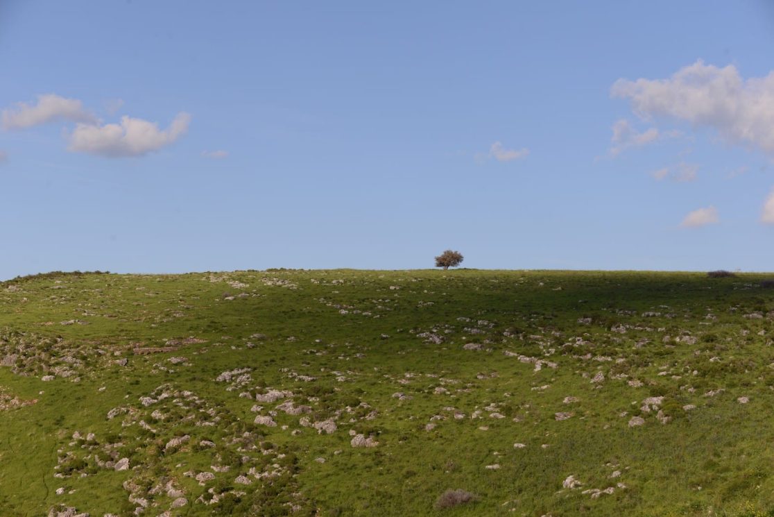Mount Arbel Next to Tiberias