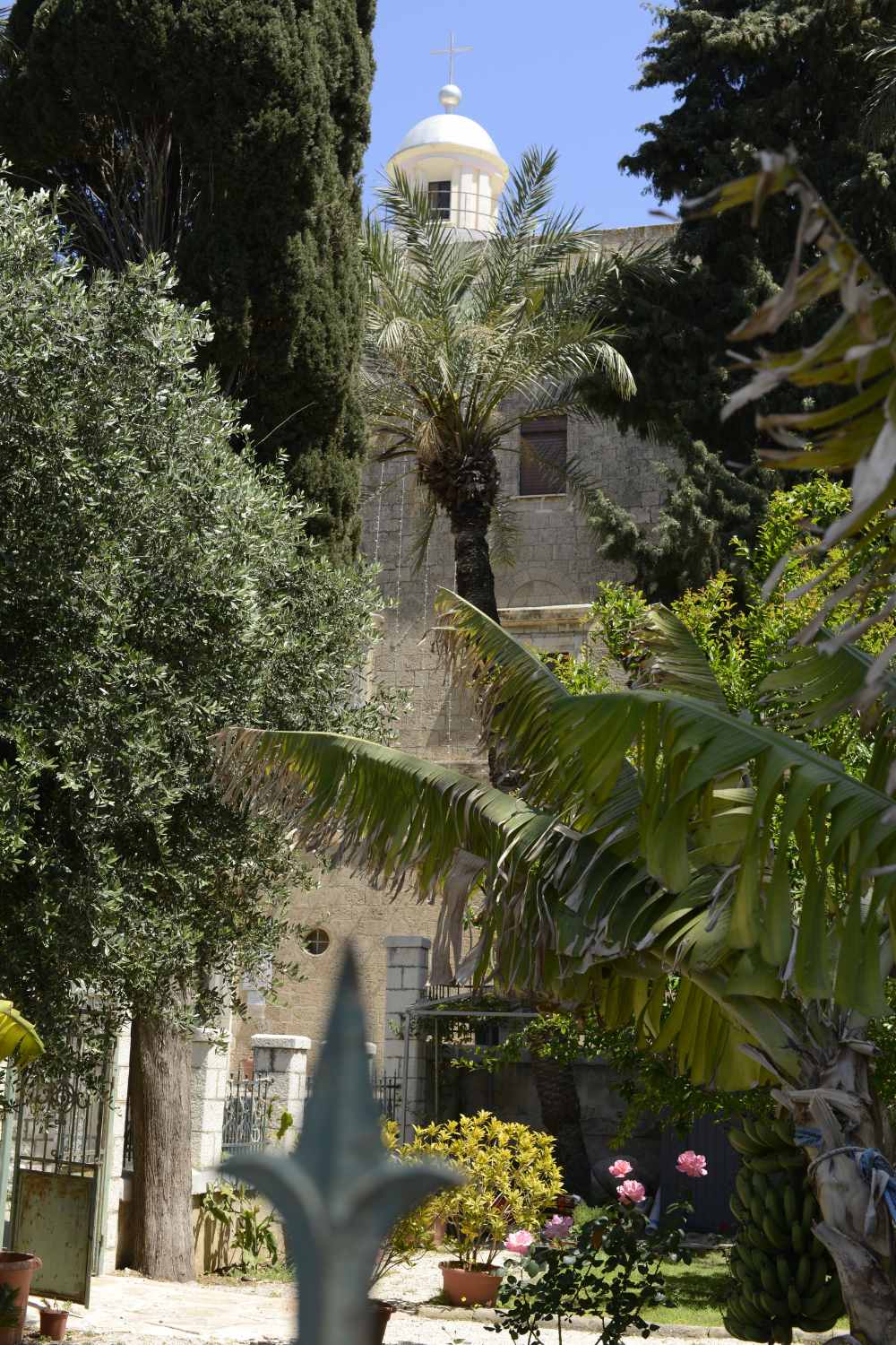 Stella Maris view of the Carmelites order