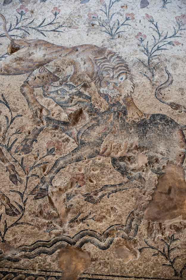 A 5th-century mosaic depicting a lion attacking a bull above the flowing Nile