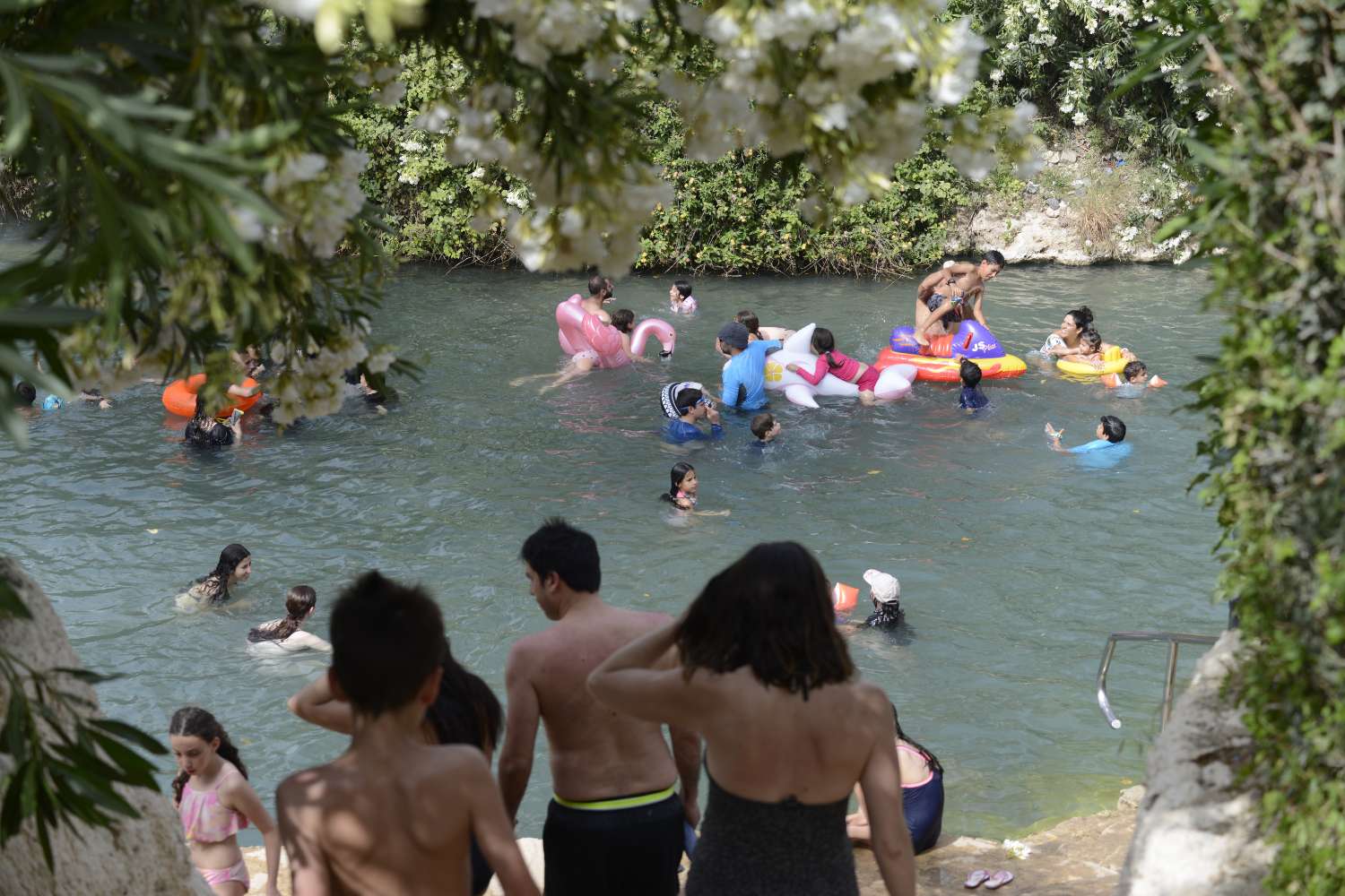 Gan Hashlosha swimming