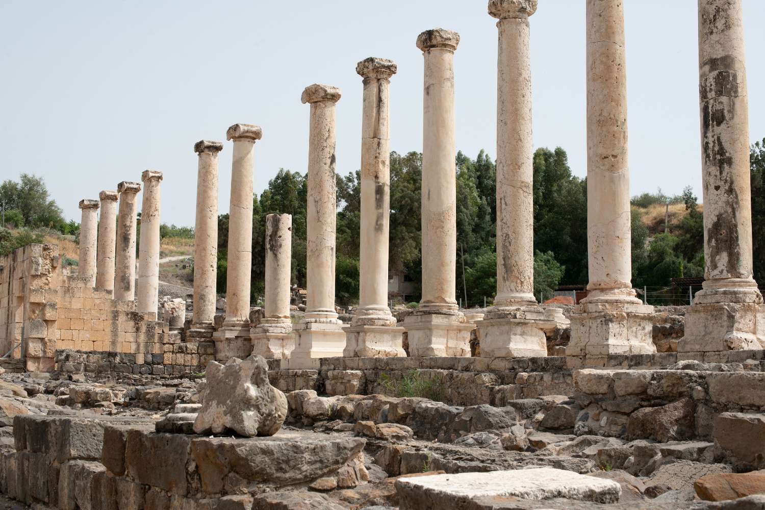 Scythopolis cardo street a view form east