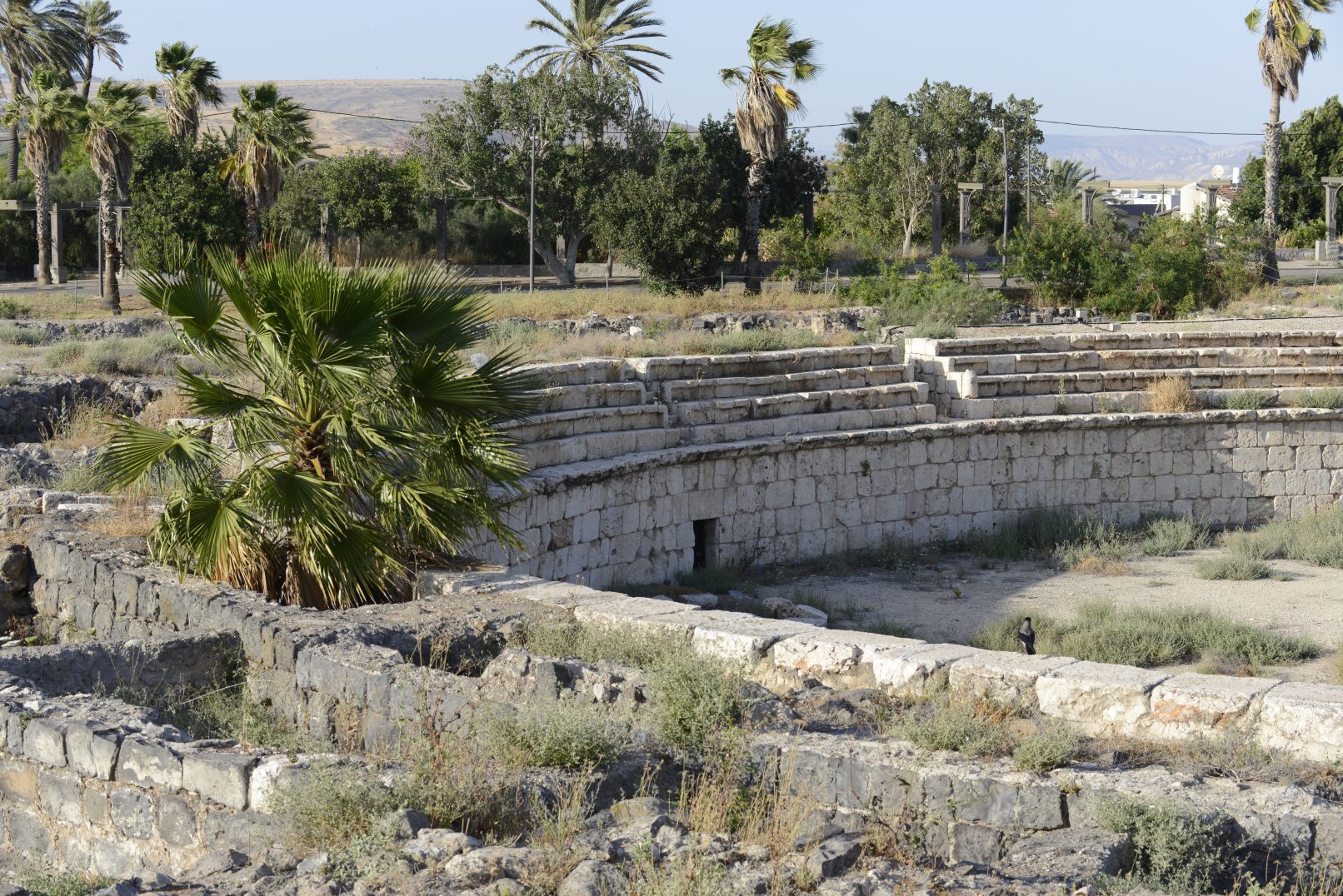 Scythopolis's hyppodrome