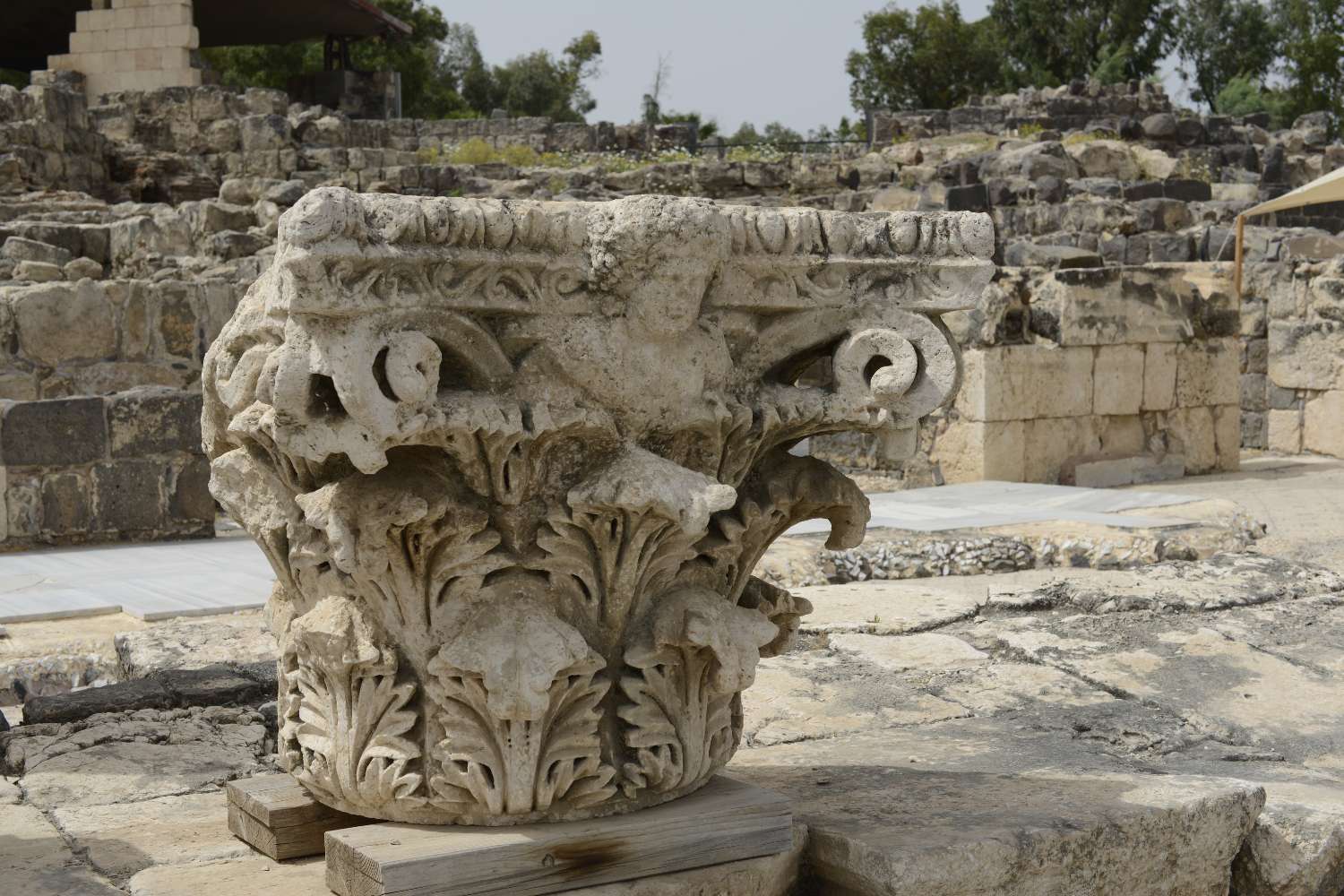 elaborately decorated composite column capital, discovered during archaeological excavations at Beit She’an National Park